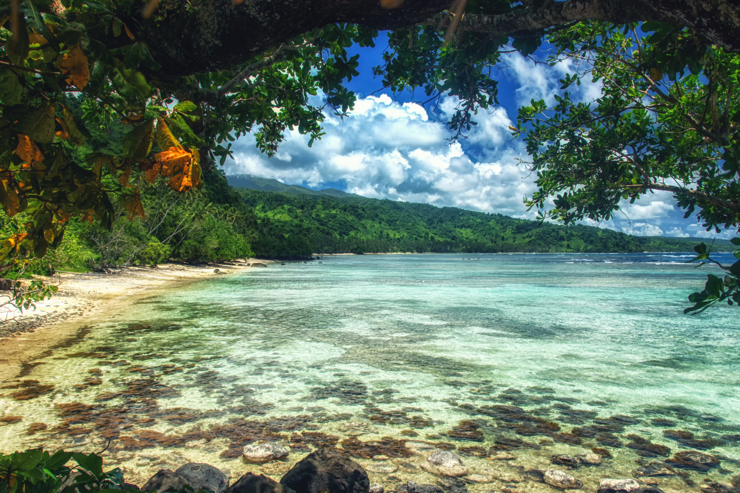 186 taveuni island.webp